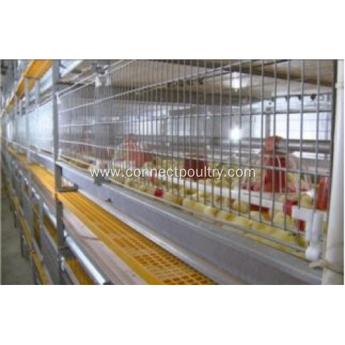 Broiler cage system for poultry farm equipment